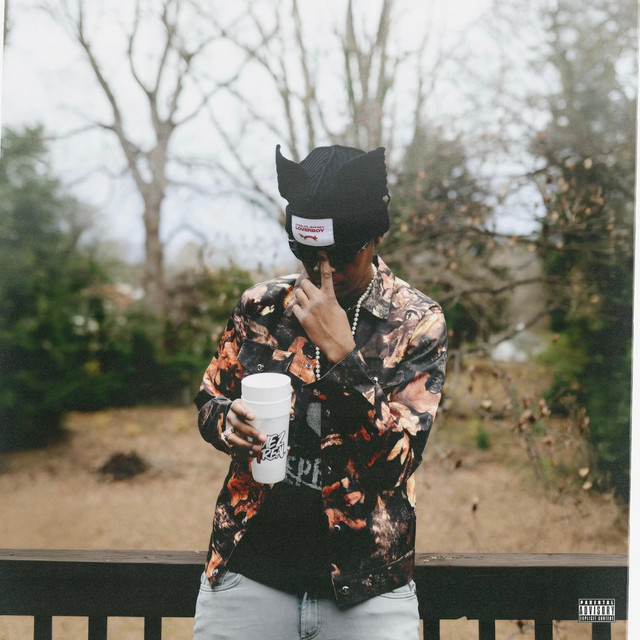 The Remix cover art