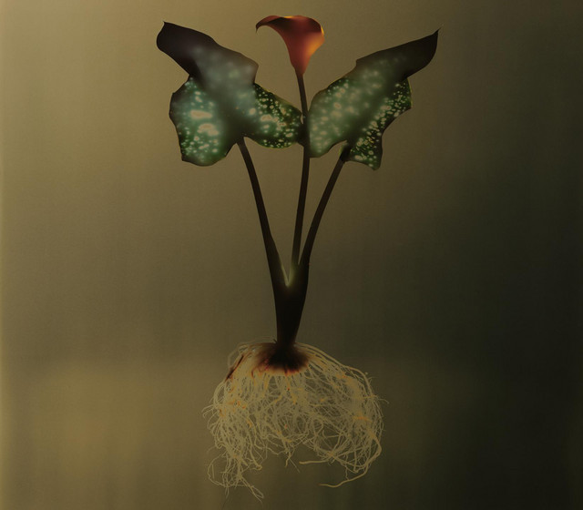 EPrime cover art