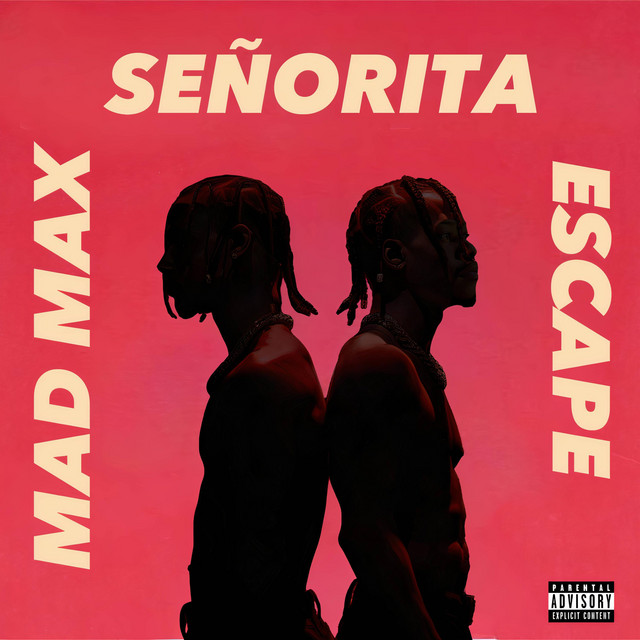 MAD MAX - song and lyrics by Wonder Gang, TK Savage, Keith Wonder | Spotify