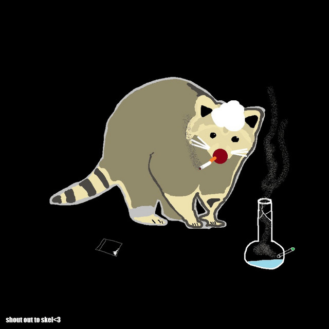 racoon cover art