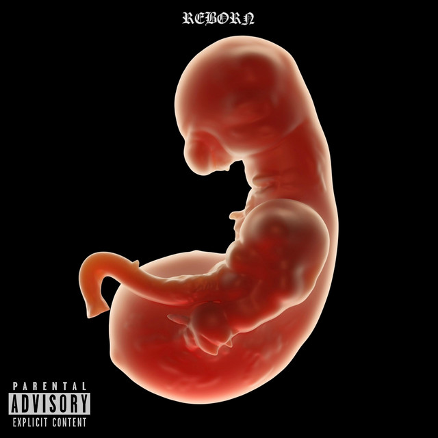 REBORN cover art