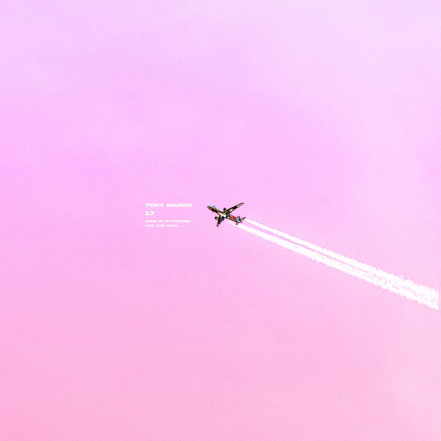 17 cover art