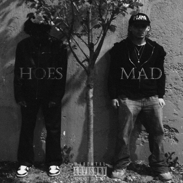 HOES MAD cover art