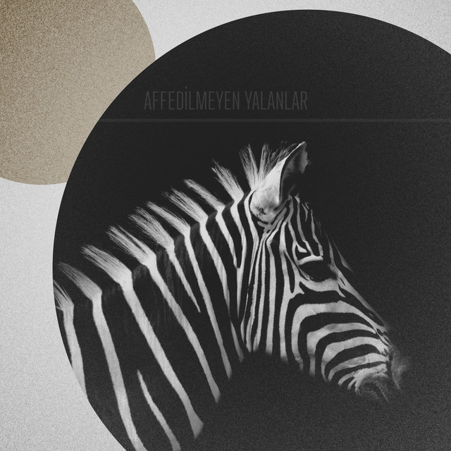 Affedilmeyen Yalanlar cover art