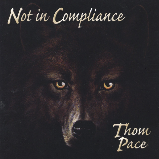 Not In Compliance cover