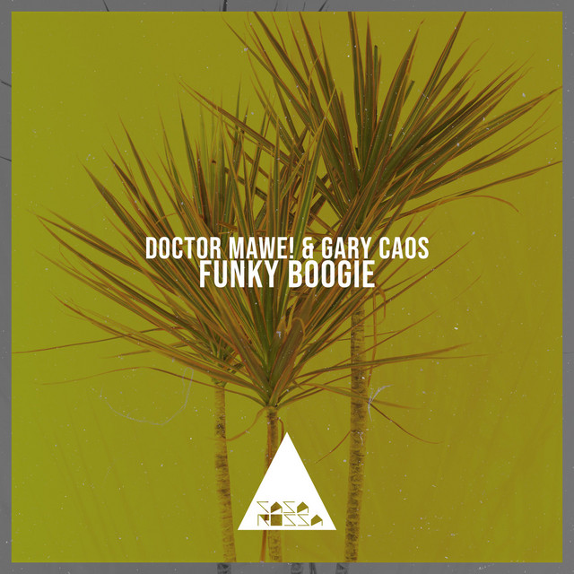 Funky Boogie album art
