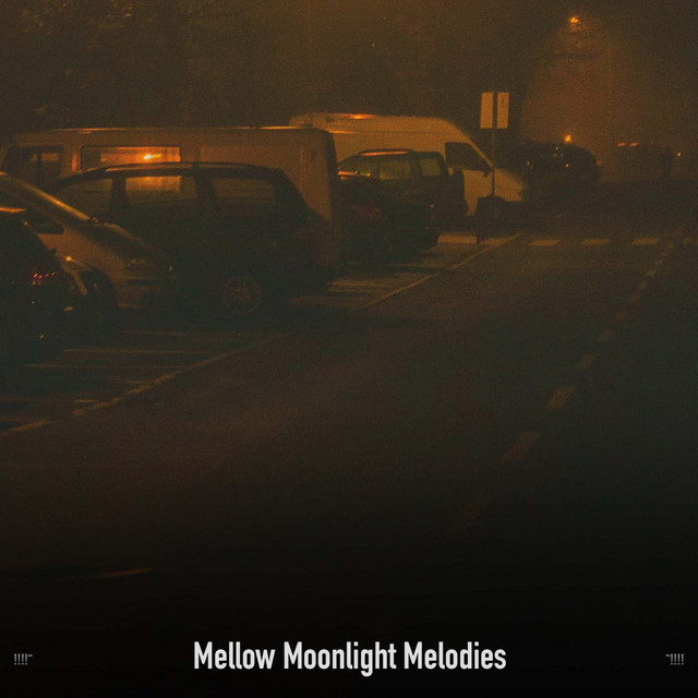 !!!!" Mellow Moonlight Melodies "!!!! cover art