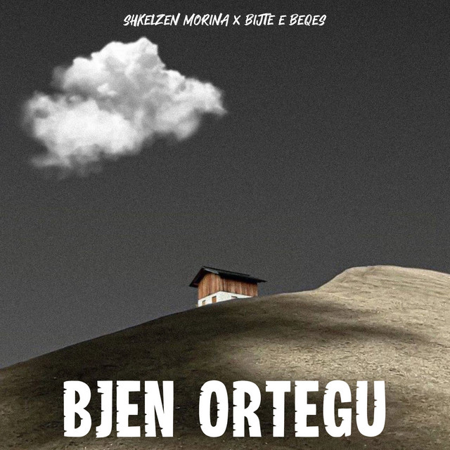 Bjen ortegu