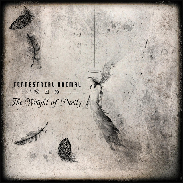 The Weight of Purity (single)