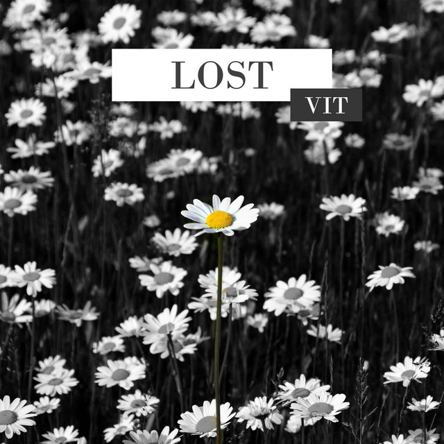 Lost cover art