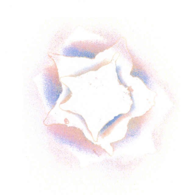 Slow Rose