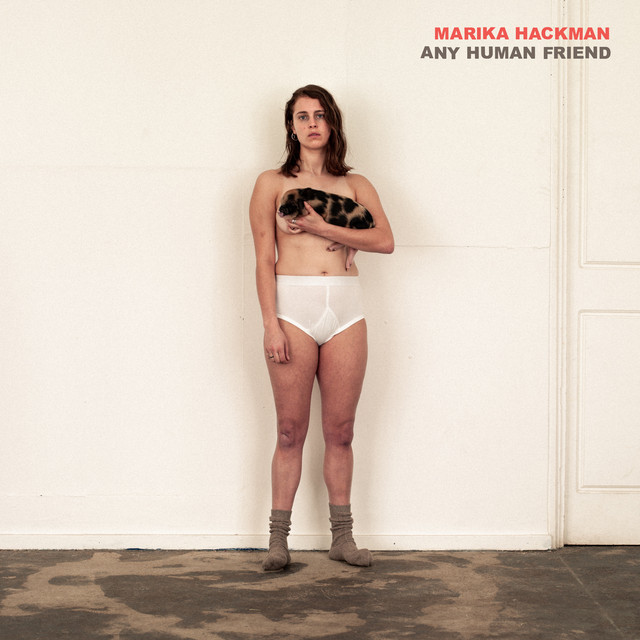 Any Human Friend cover art