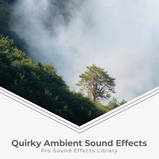 River Reflection - song and lyrics by Pro Sound Effects Library | Spotify
