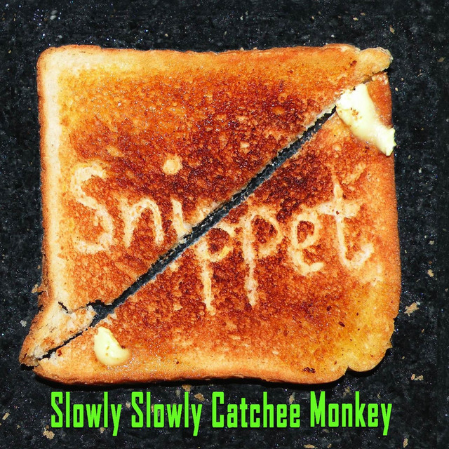 Slowly Slowly Catchee Monkey cover art