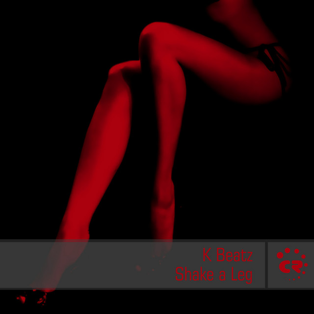 Shake a Leg cover