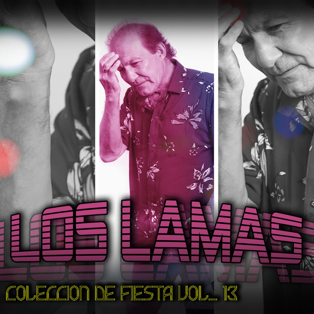 Colección de Fiesta (Vol. 13) cover art