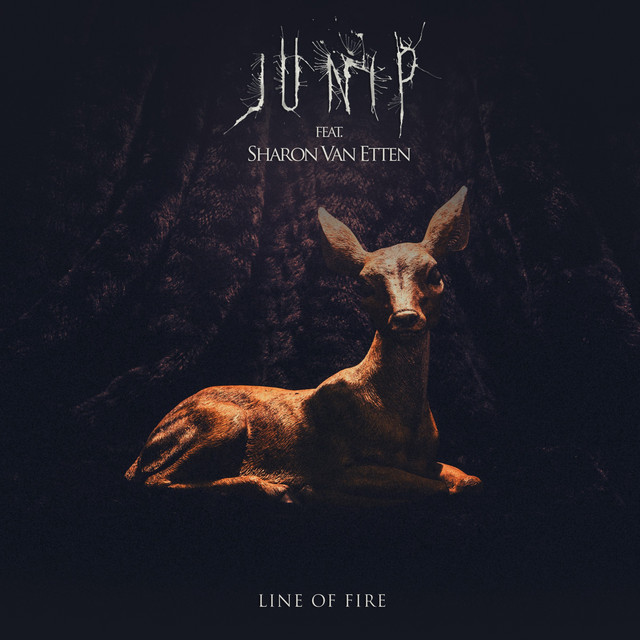 Line of Fire (feat. Sharon Van Etten) cover art