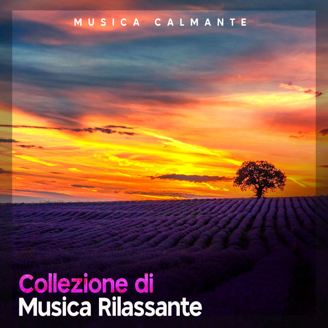 Collezione di Musica Rilassante cover art