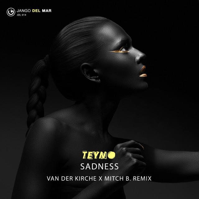Sadness - Van Der Kirche X Alessandro Br1 Remix