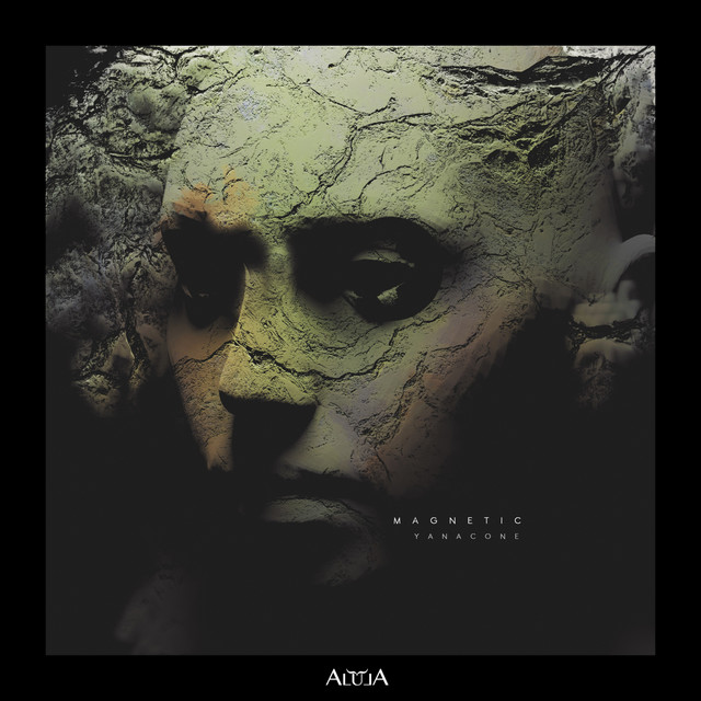 Magnetic album art