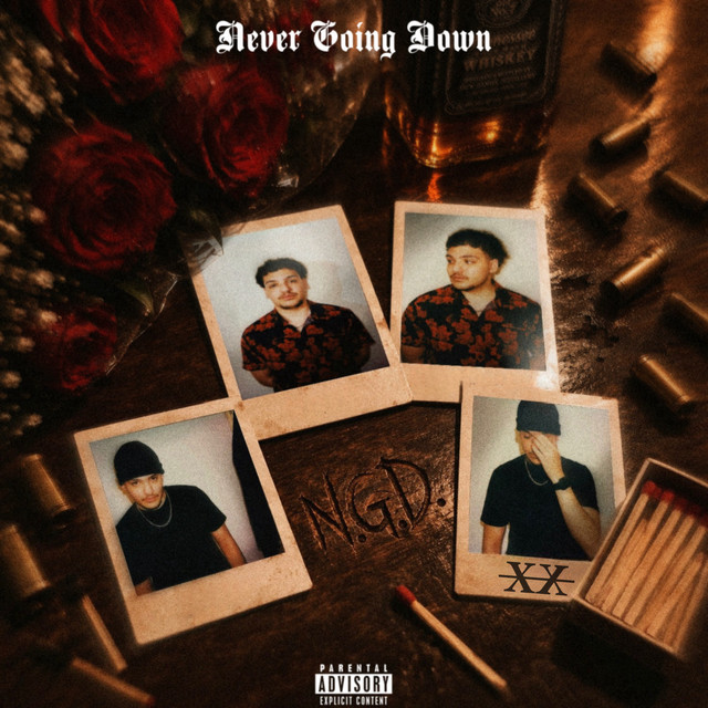 NEVER GOING DOWN cover art
