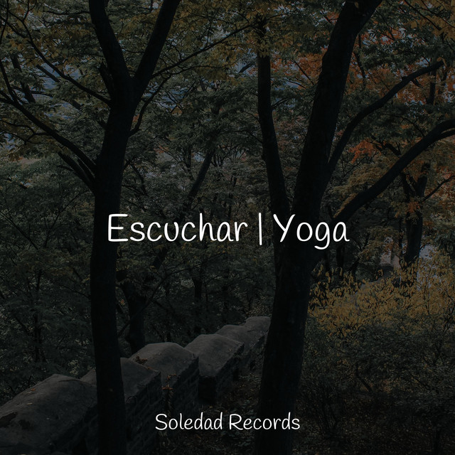 Escuchar | Yoga