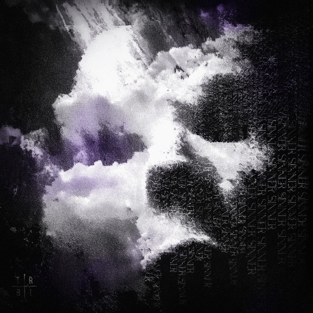 Cover art for HXLLGANG — sinner
