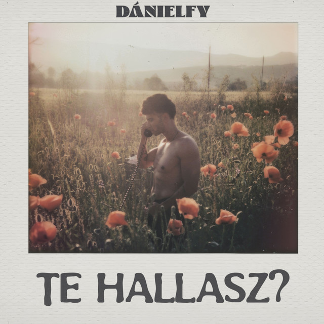 Te hallasz? cover art