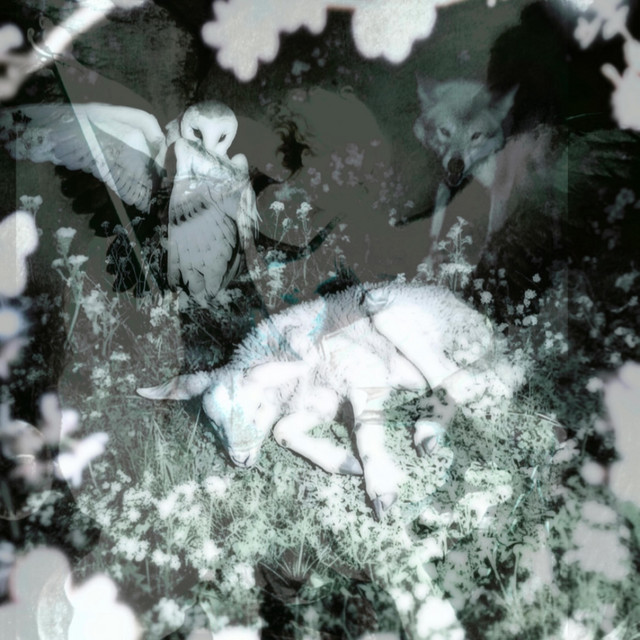 Archangel cover art