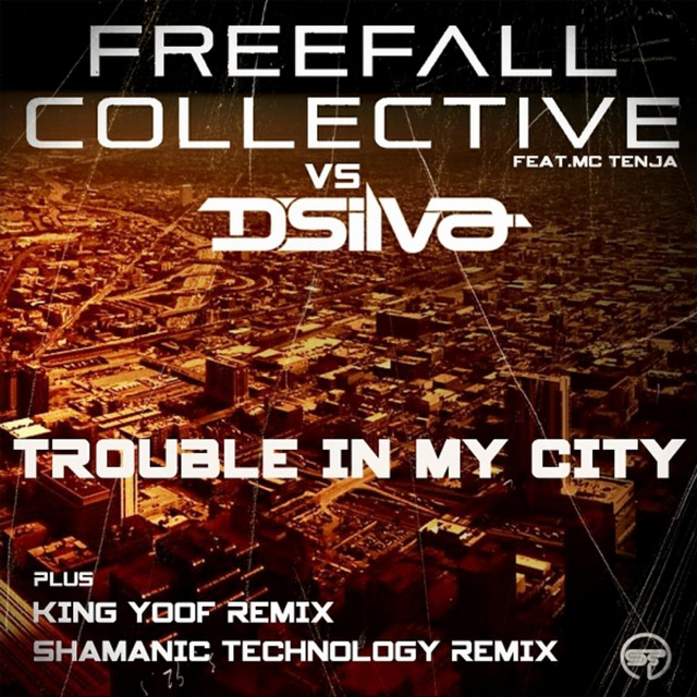Trouble In My City cover art