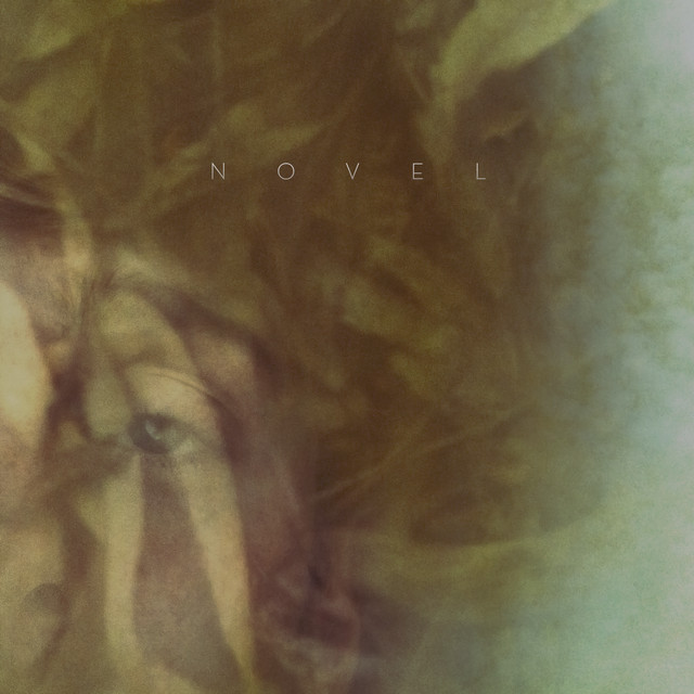 Novel cover art