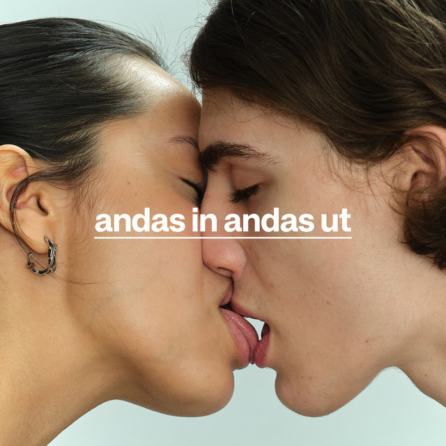 Andas in andas ut cover art