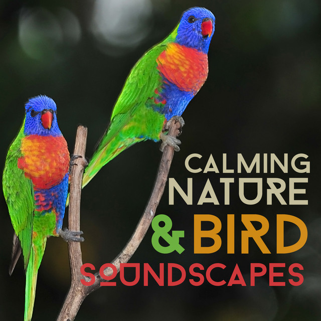 Calming Nature & Bird Soundscapes cover art