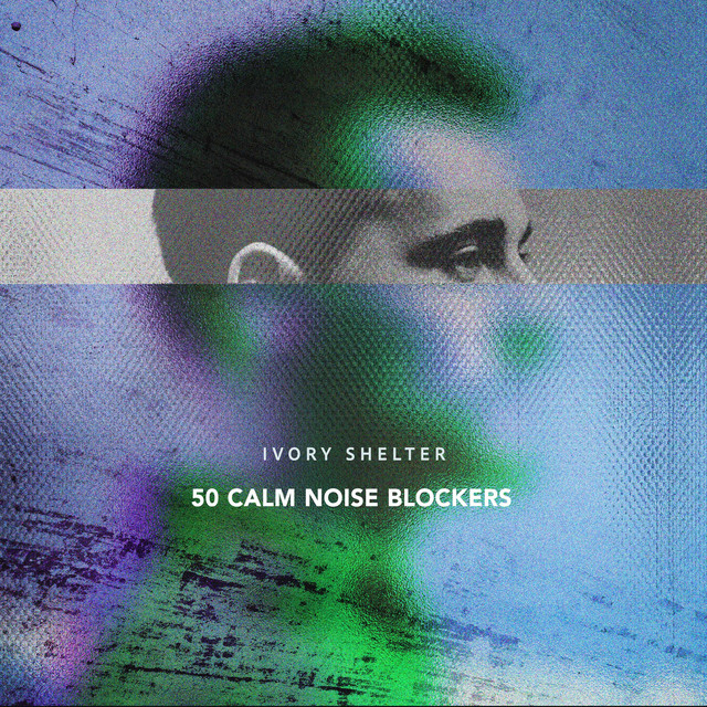 50 Calm Noise Blockers cover art