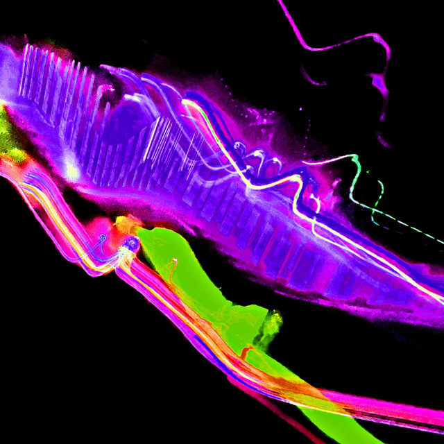 Ultraviolet Visions cover art