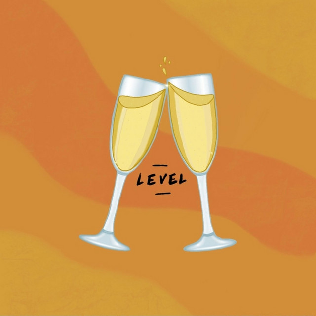 Level cover art