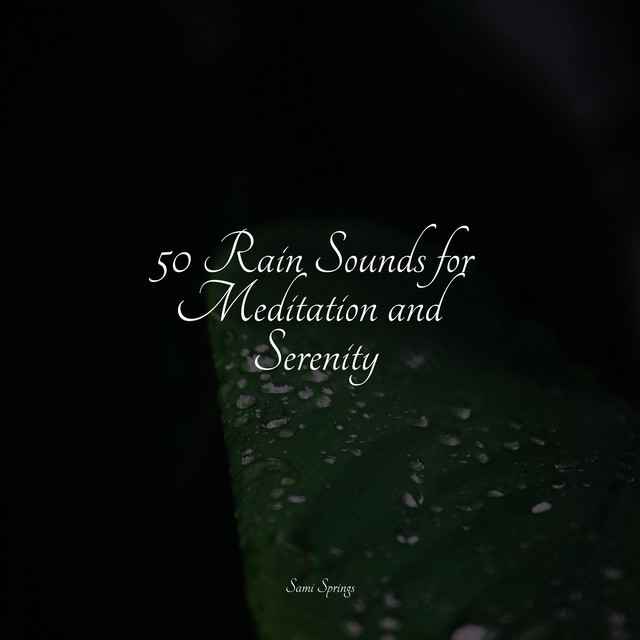 50 Rain Sounds for Meditation and Serenity - Album by Meeresrauschen ...