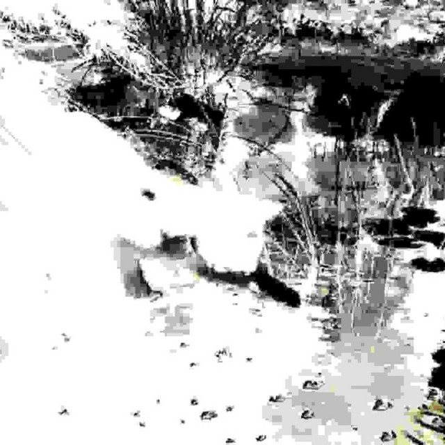 вскрытие cover art