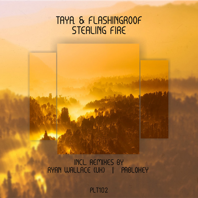 Stealing Fire - Ryan Wallace (UK) Remix cover art