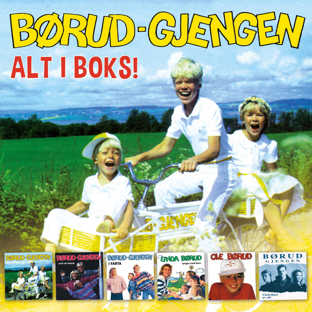 Alt I Boks! cover art