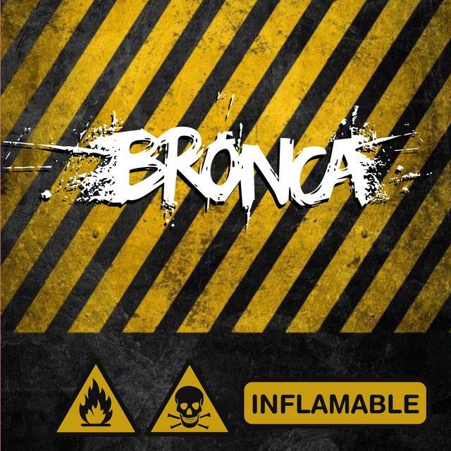 Inflamable cover art