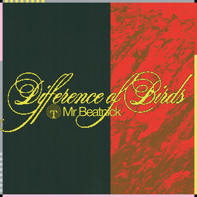 Difference of Birds artwork