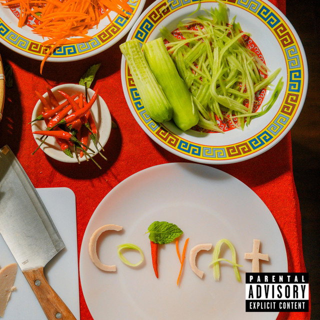 COPYCAT cover art