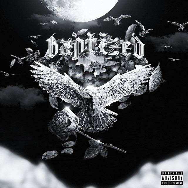 Baptized cover art
