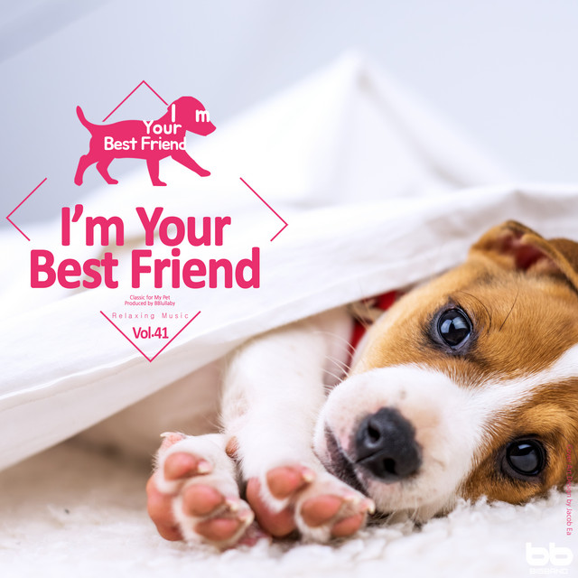 Calming Music to Relax My Dog! Music for Dogs to Listen to and Chill, Sleep! cover art