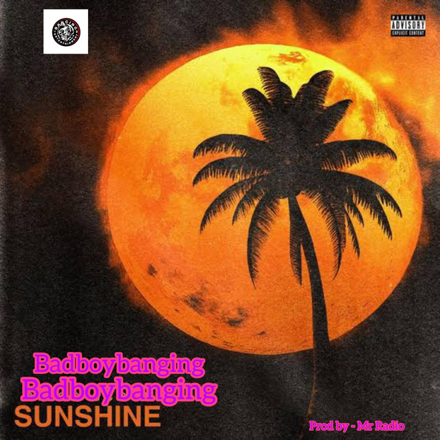 Sunshine cover art