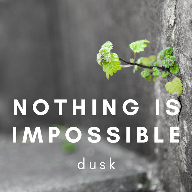 Nothing Is Impossible. cover art