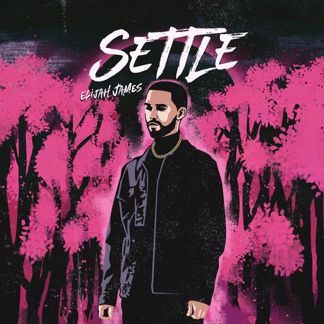 Settle cover art