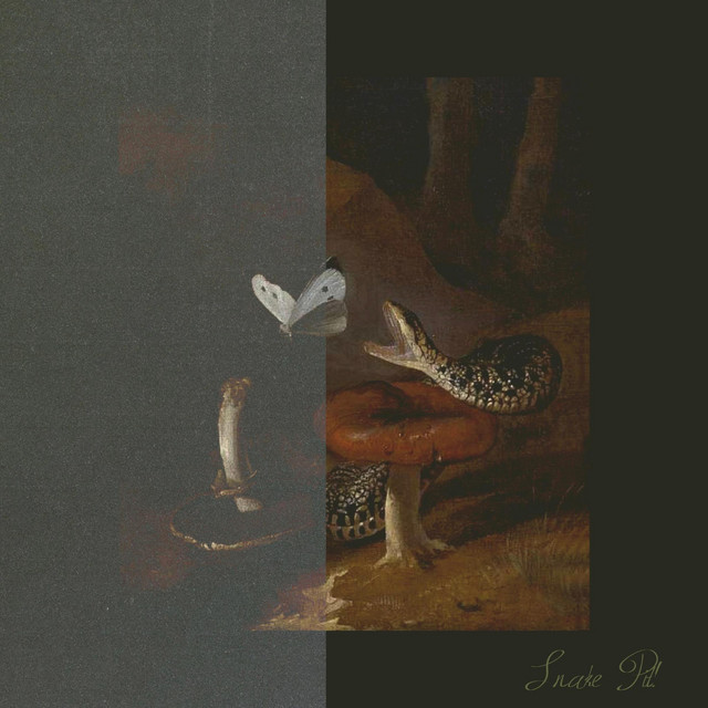 SNAKE PIT cover art