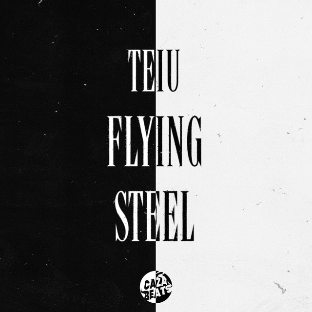 Flying Steel